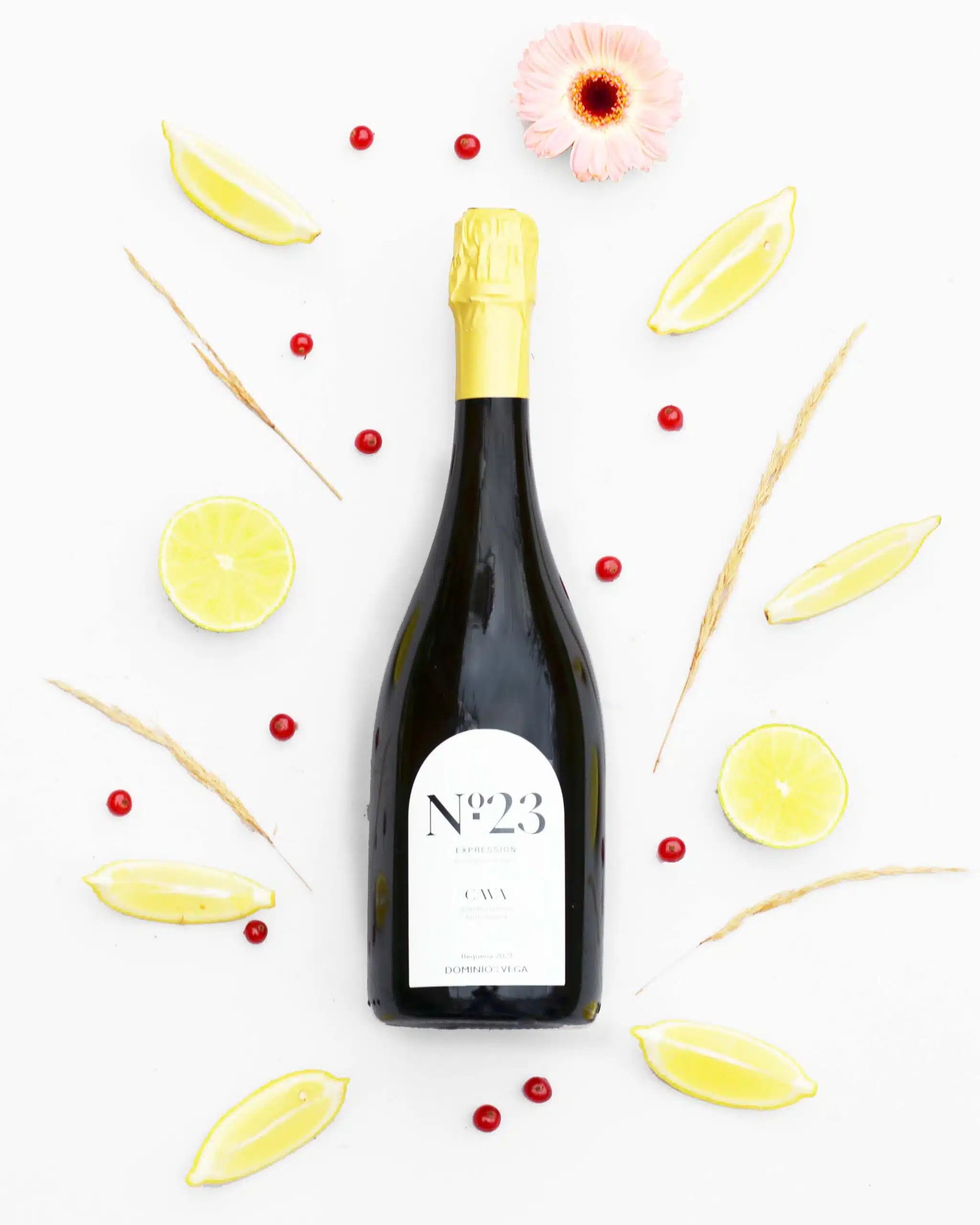 bubbels uit de wijnbox wijnabonnement 2024