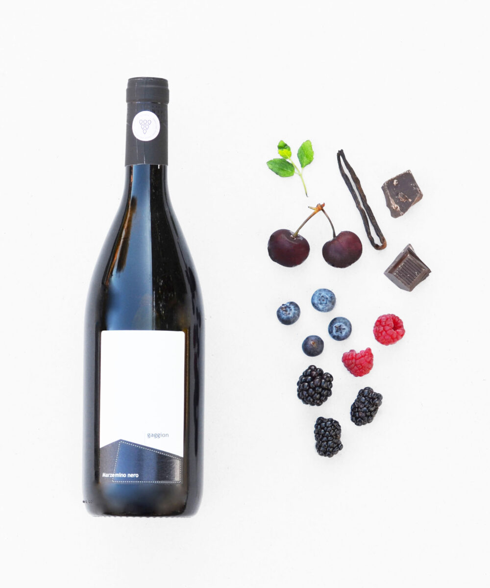 Vignaioli Contra Soarda - Gaggion Marzemino Nero 2022
