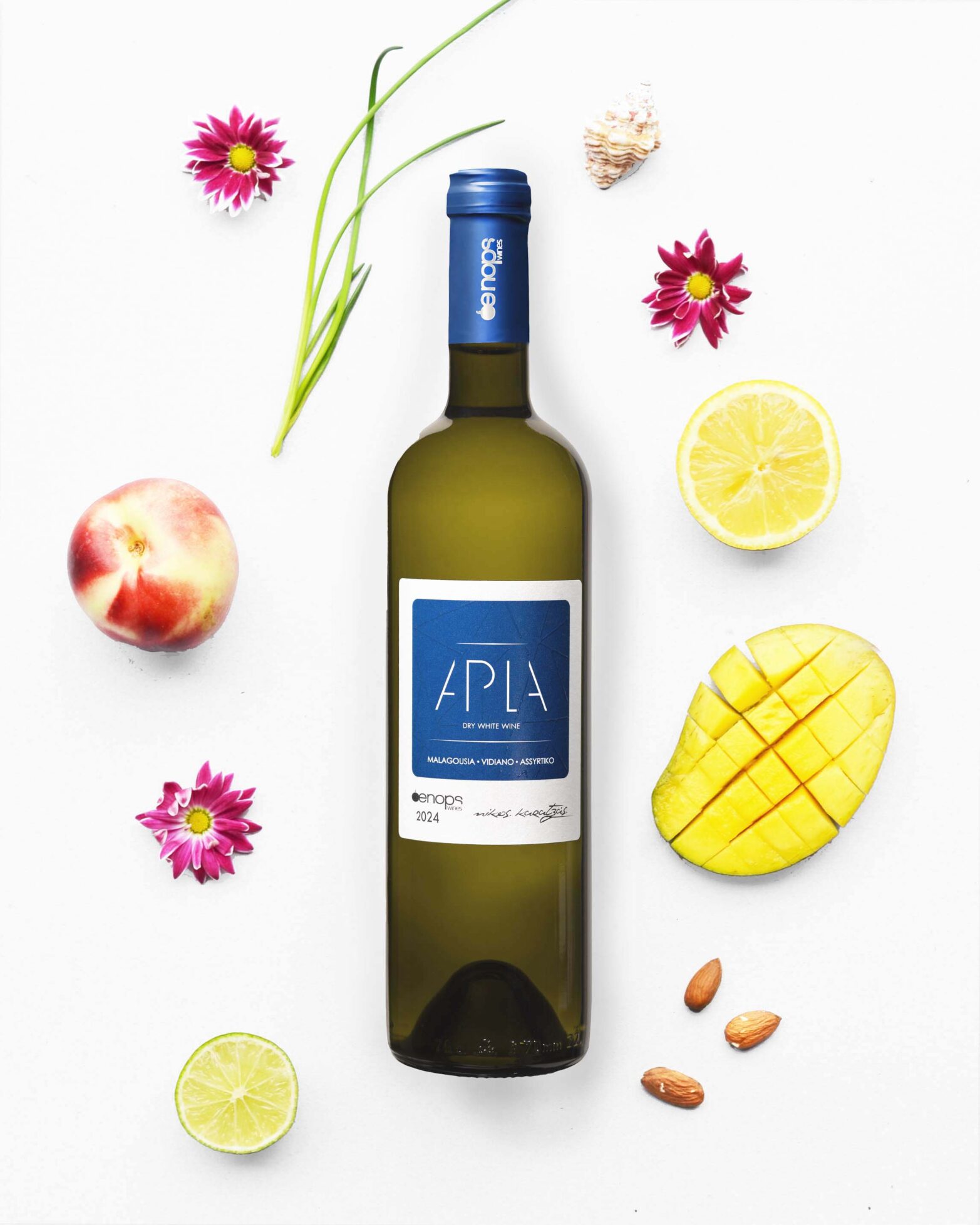 Oenops - Apla 2024