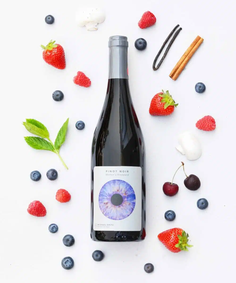 pinot noir van opitz oog oostenrijk