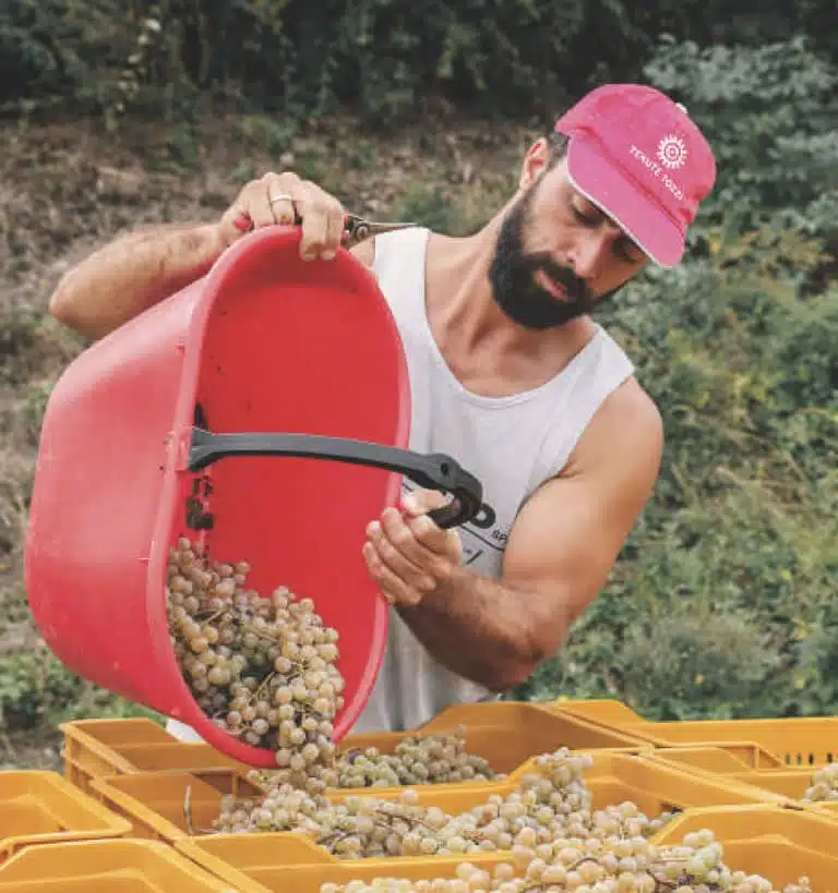 wijnboeren baltazar directe import