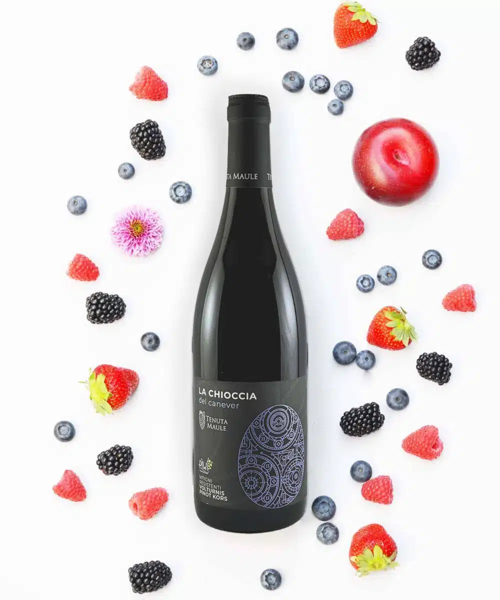 pinot kort volturnis wijnabonnement bestellen baltazar