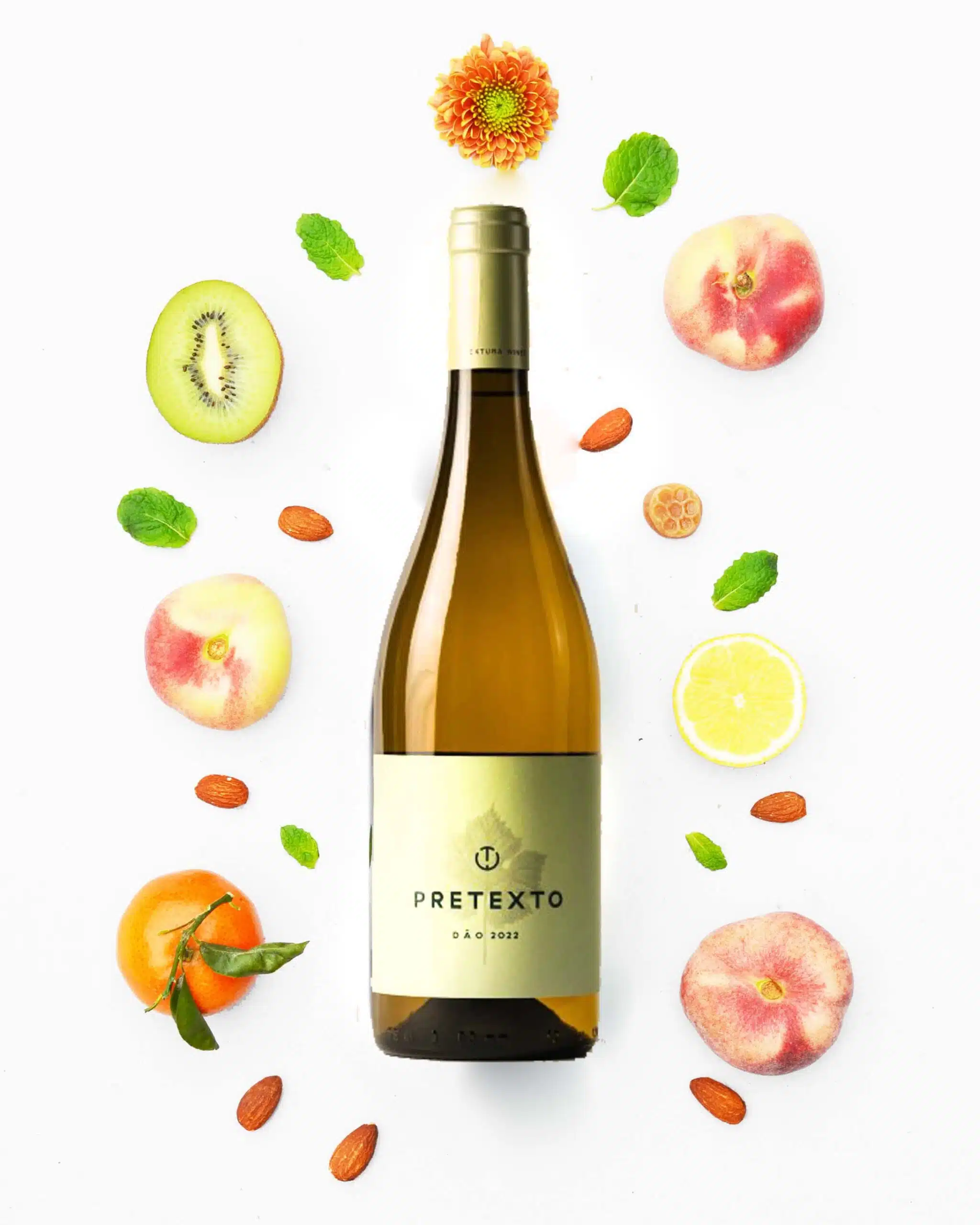 Textura Wines - Pretexto Branco 2022