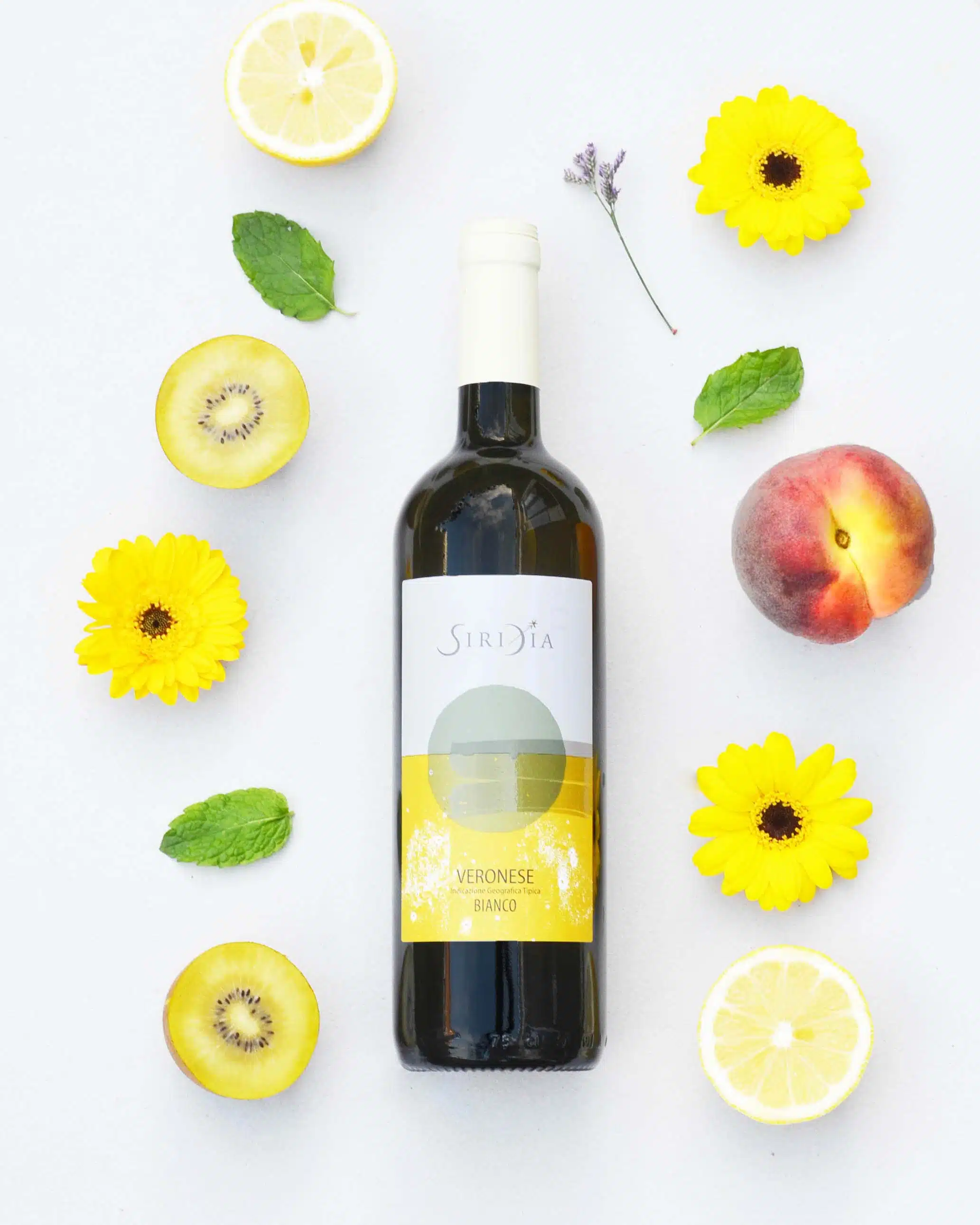 garganega uit verona valpolicella